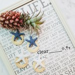 スターフィッシュピアス♡ラタンピアス😊夏アクセ!!