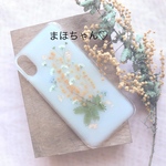 専用ページ