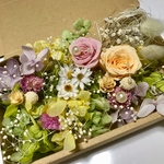 ニュアンスグリーン＊ハーバリウム 花材ドライフラワー  花材セット