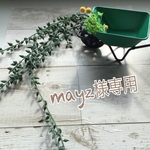 mayz様専用ページ