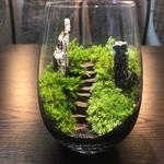 苔テラリウム コケ 苔アート LEDライト蓋付き 階段シリーズ  ヒバスプレー付き