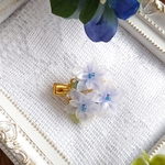 ～夏空を待つ～八重紫陽花のミニミニクリップ。