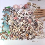 海の宝物セット 800ｇ No1075