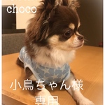 犬服 ウォータークールタンク