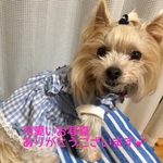 ブルーチェックワンピース（ S