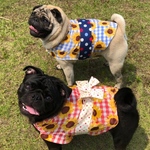 再販待ちの方優先販売🌟ひまわり🌻のひんやり浴衣