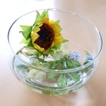 水♡まるで本物 ひまわり草花を水に浮かべて