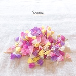 たっぷり♥︎︎ スターチス 花びら ７色MIX♡