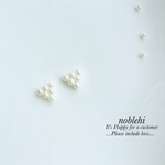 crystalpearl▷minipearl▽△ピアス/ノンホールイヤリング＊受注製作＊C53