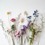 ✳︎再販開始✳︎Botanical dry flower kit✳︎洋書ペーパーのおまけ付き✳︎