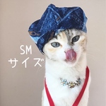 SMサイズ♡おまけ付きデニム風キャスケット♡