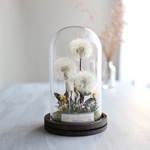 BotanicalGlassdome たんぽぽ  b