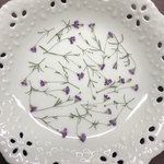 かすみ草(押し花)