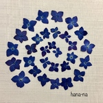 アジサイ＊押し花