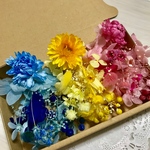 原色カラー＊お花入り＊ハーバリウム 花材ドライフラワー  花材セット