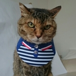 ポロシャツコスプレ
