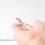 白い豆すずめマスコット