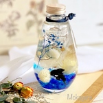 ハーバリウム アクアリウム