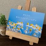 癒やしの言葉付きポストカード2枚セット
