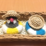 ぴー子さま♡専用☆インコちゃん用♡麦わら帽子&浮き輪セット