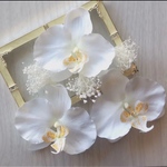 ✴︎定番作品✴︎胡蝶蘭 コチョウラン とかすみそうの和装髪飾り 結婚式や前撮りに