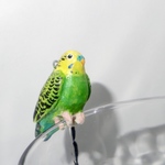 コップが止まり木<セキセイインコ>