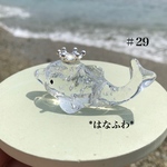 *イルカ #29（王冠）
