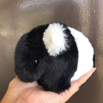 専用出品です。