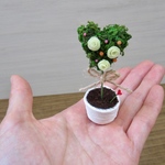 小さなトピアリー