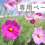 kana-i88 様専用