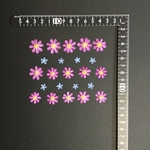 押し花  花便り NO.1323