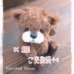 テディベア✧*K様専用ページ