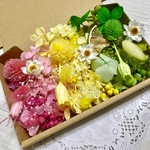 3カラーコロコロハーバリウム花材ドライフラワー 花材セット