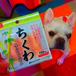 きなこあずきちゃん専門ページ