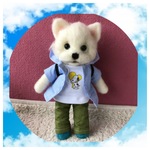 夏が来るポメくん
