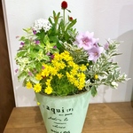 yurabo様専用 秋まで楽しめる寄せ植え