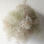 ふわもふスワッグ⑧