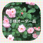 T様オーダー品