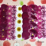 ♡new♡作家様必見♡ ♡お買い得な押し花セット♡