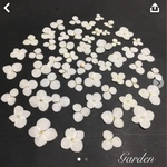 押し花花材【アナベルホワイト50枚以上入り】送料込み