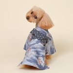 犬浴衣
