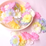 再販カラフル花びら*パステル