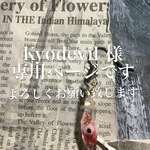 Kyodevil 様専用ページ