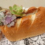 モルタルフランスパン プランター