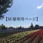 【Ｍ様専用ページ】