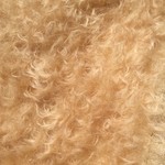 シュルテ社　soymilkラティニティー モヘア 1/8