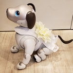 aibo アイボ  アイボのワンピース  ERS-1000