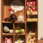 ご予約品   chocoちゃんバースデーボックス