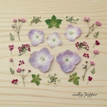 miyu1818様専用ドライフラワー 押し花 紫陽花ミックス アリッサム