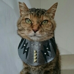 ヘビメタコスプレ